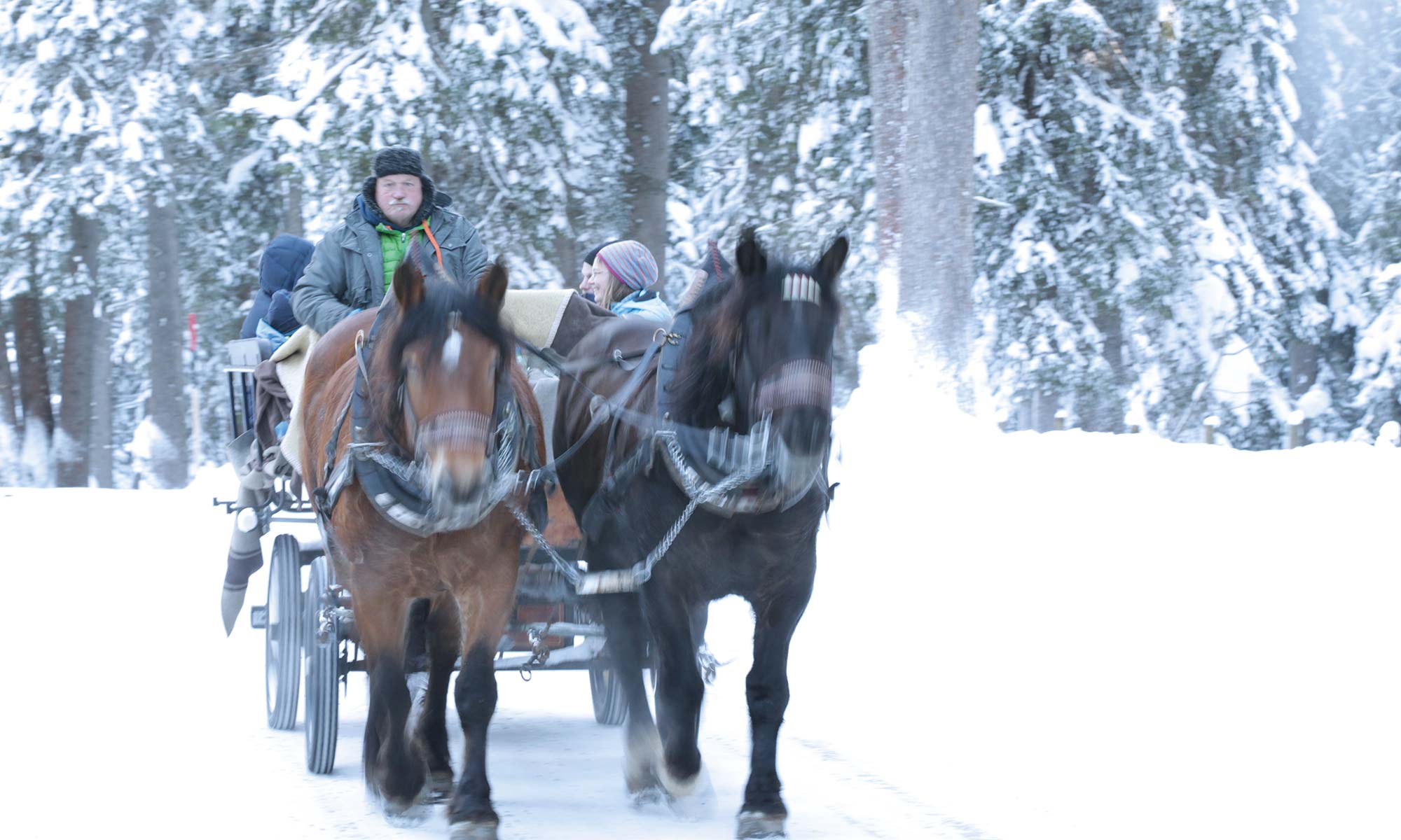 Pferdekutschenfahrt in Lech am Arlberg