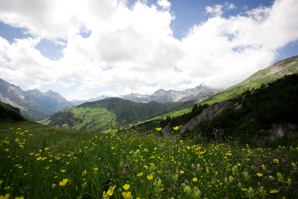 vitalBERGSOMMER in Lech am Arlberg