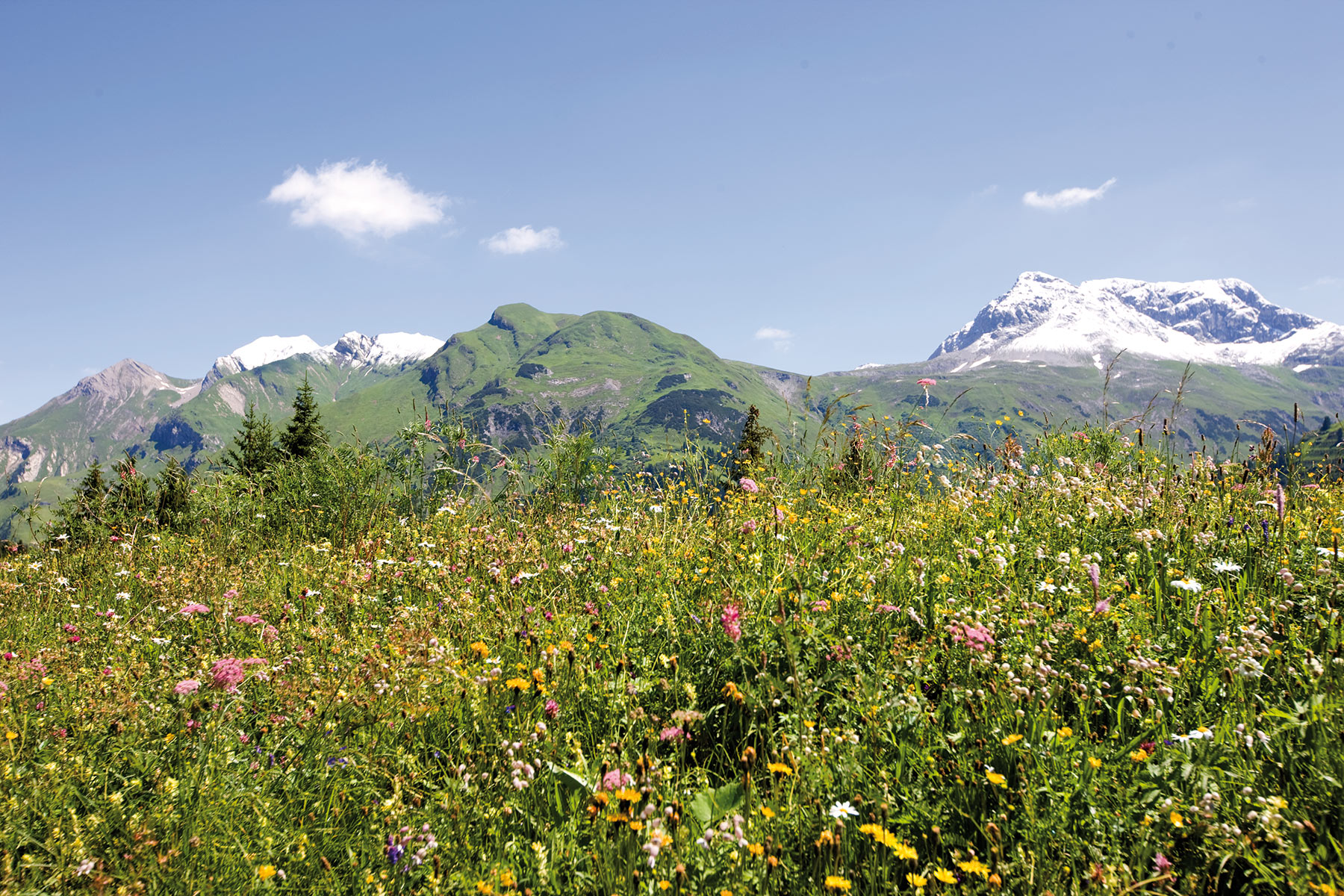 vitalBERGSOMMER in Lech am Arlberg